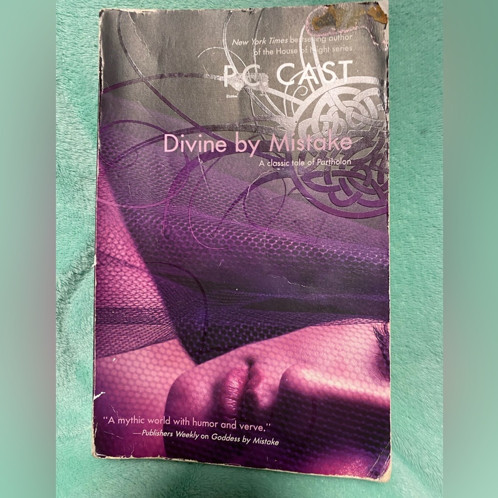 Divine by Mistake paperback novel